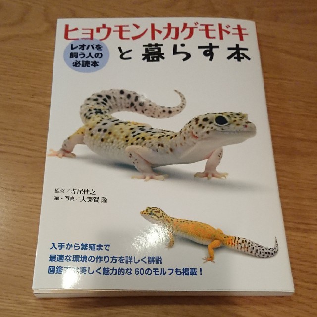 ヒョウモントカゲモドキと暮らす本 その他のペット用品(爬虫類/両生類用品)の商品写真