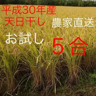 お試し 平成30年産コシヒカリ100% 精米5合(米/穀物)