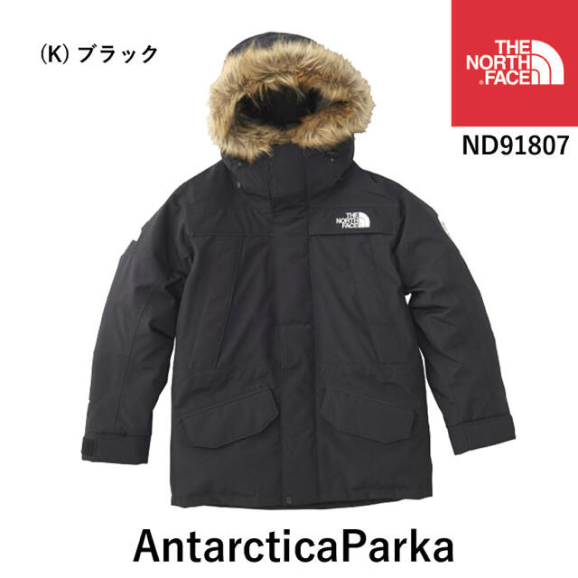 人気絶頂 - FACE NORTH THE 新品未使用 ダウン アンタークティカ
