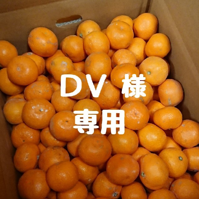 【DV 様 専用】完熟早生みかん 10㎏ 小玉 食品/飲料/酒の食品(フルーツ)の商品写真