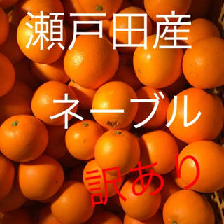 訳あり♪ネーブルオレンジ  コンパクト箱(フルーツ)