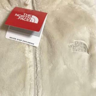 ザノースフェイス(THE NORTH FACE)のノースフェィスOsitoフリースLアーバンリサーチtodayfulイエナkbf(ブルゾン)