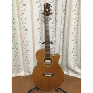 アイバニーズ(Ibanez)のIbanez エレアコ AEG-460 CLG(アコースティックギター)