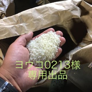 ヨウコ0213様専用、ミルキークイーン無洗米10kg(米/穀物)