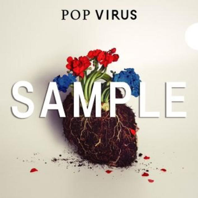 星野源 POP VIRUS A4 クリアファイル エンタメ/ホビーのタレントグッズ(ミュージシャン)の商品写真