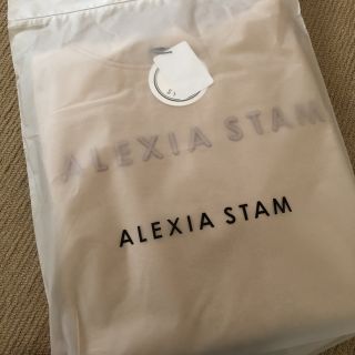 アリシアスタン(ALEXIA STAM)のALEXIA STAM新作パーカー 完売品 本日のみ(パーカー)