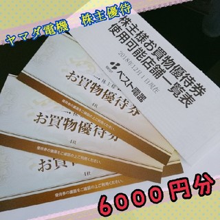 ヤマダ電機 株主優待 6000円分(ショッピング)