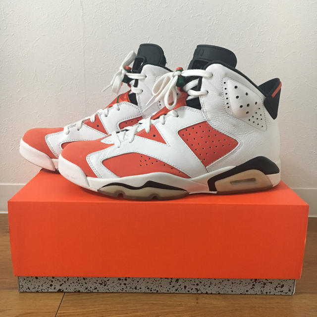 AIR JORDAN 6 エアジョーダン ゲータレード GATORADE 28