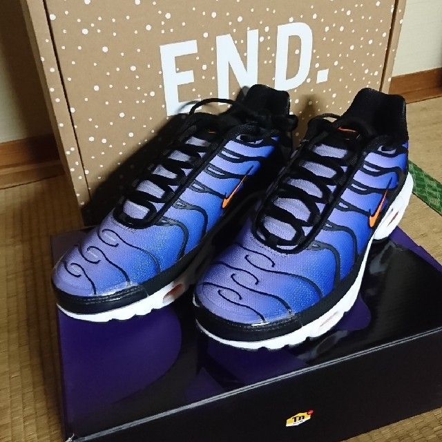 NIKE(ナイキ)の最終値下げ❗Nike AIR MAX PLUS メンズの靴/シューズ(スニーカー)の商品写真