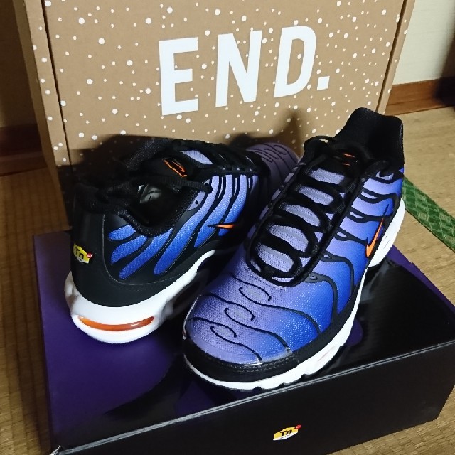 NIKE(ナイキ)の最終値下げ❗Nike AIR MAX PLUS メンズの靴/シューズ(スニーカー)の商品写真