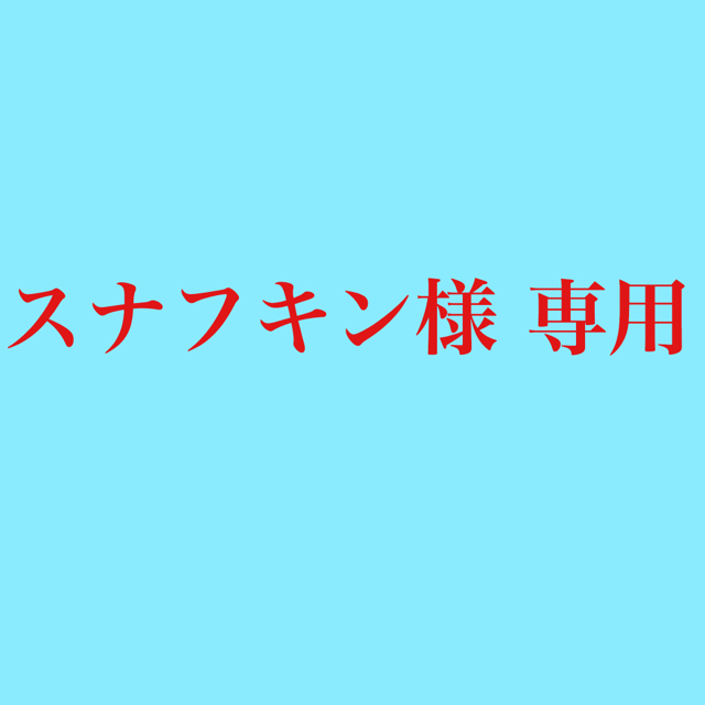 CANTERBURY(カンタベリー)の【スナフキン様 専用】カンタベリー　デイパック スポーツ/アウトドアのスポーツ/アウトドア その他(ラグビー)の商品写真