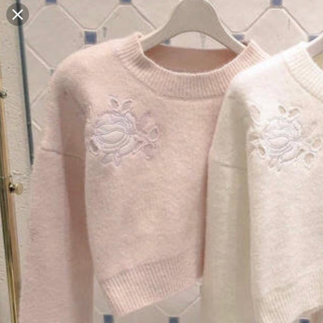 evelyn(エブリン)のevelyn バラ刺繍ニット レディースのトップス(ニット/セーター)の商品写真