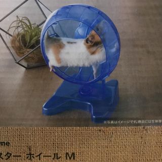 ハムスター ホイール(小動物)