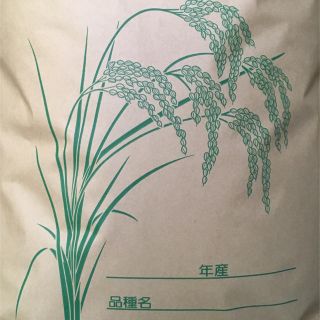 りんご様専用コシヒカリ玄米5キロ白米5キロ(米/穀物)