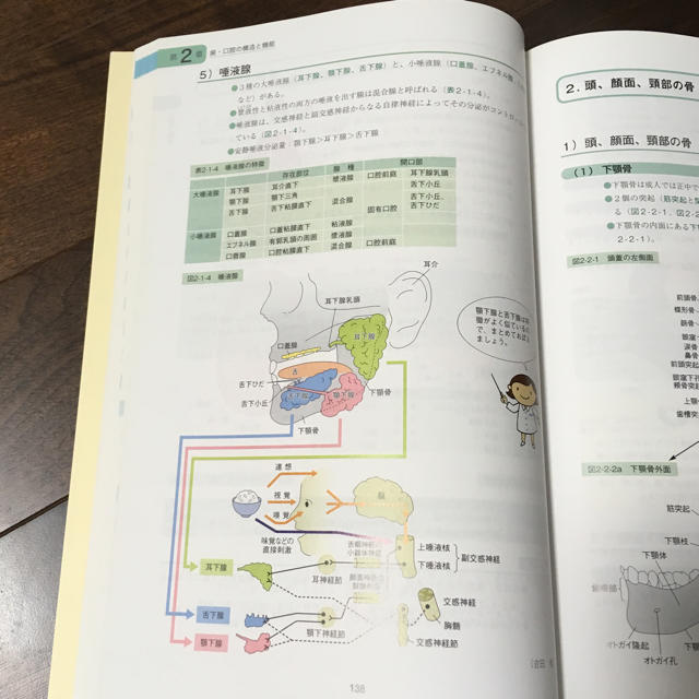 歯科衛生士 イラストで分かる歯科医学の基礎の通販 By まーちゃん ラクマ