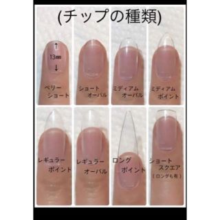 ネイルチップ ジェルネイル asmnail コスメ/美容のネイル(つけ爪/ネイルチップ)の商品写真