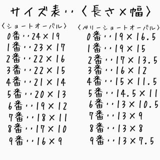 そく様専用 コスメ/美容のネイル(つけ爪/ネイルチップ)の商品写真