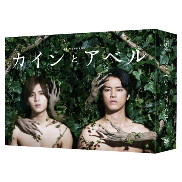 カインとアベル DVD-BOX 山田涼介  桐谷健太