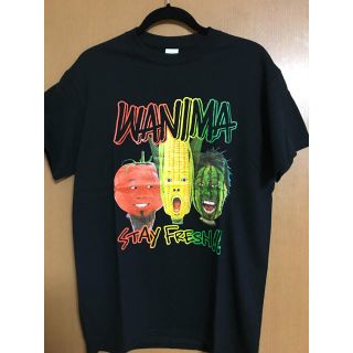 ワニマ(WANIMA)のWANIMA ロックフェスTシャツ(ミュージシャン)