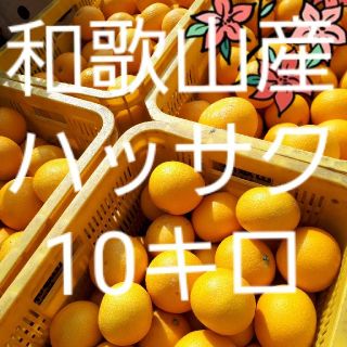 和歌山県産　減農薬　ハッサク　10キロ(フルーツ)