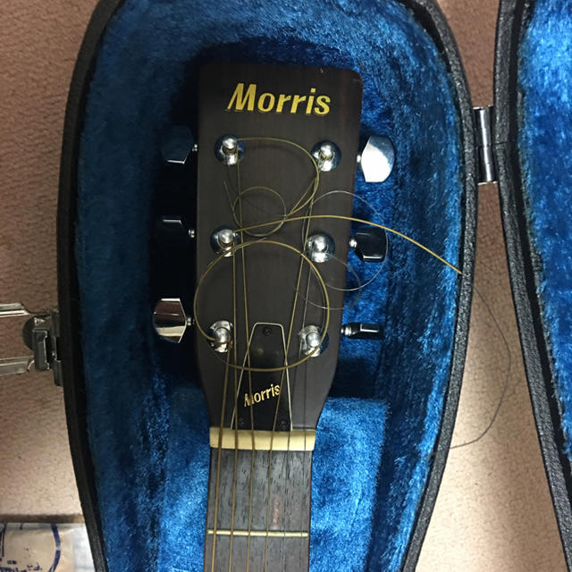 アコースティックギターMorris by sevetiger's shop｜ラクマ W-20 NANA様用の通販 大得価好評