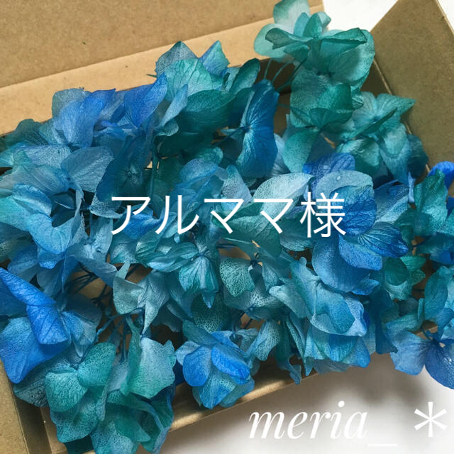 ソフトゆめあじさい グラデーション 大地農園 プリザーブド 花材