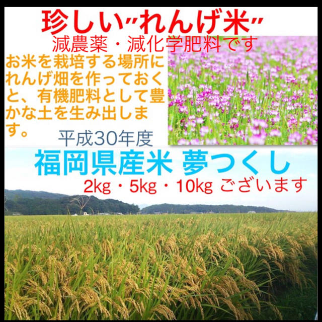 限定販売・希少価値の高い‼️減農薬・減化学肥料・レンゲ米・30年度・玄米10㎏ 食品/飲料/酒の食品(米/穀物)の商品写真