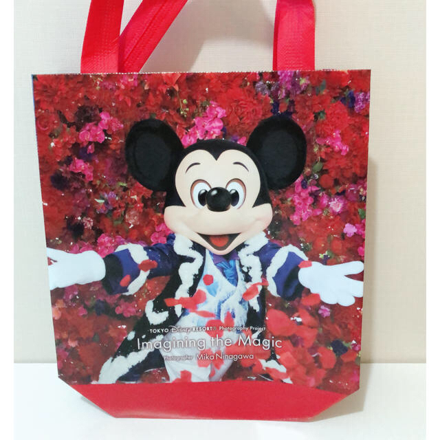Disney(ディズニー)のミッキー ミニー 専用バッグ レディースのバッグ(トートバッグ)の商品写真