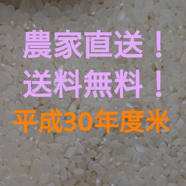 愛媛県産ヒノヒカリ30㎏ 食品/飲料/酒の食品(米/穀物)の商品写真
