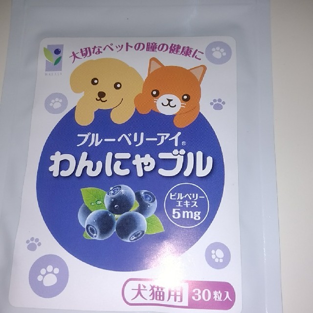 わかさ生活(ワカサセイカツ)のブルーベリーアイ　わんにゃブル　犬猫用 その他のペット用品(犬)の商品写真