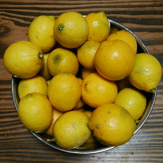 無農薬レモン☆20個 食品/飲料/酒の食品(野菜)の商品写真