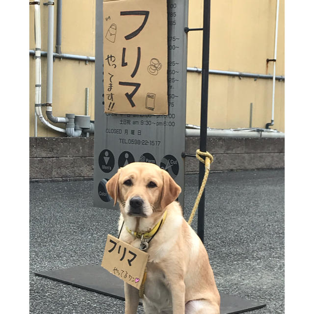 rururun様専用 コスメ/美容のヘアケア/スタイリング(シャンプー)の商品写真