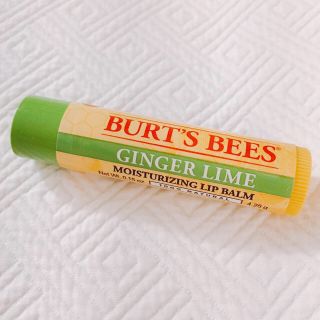 バーツビーズ(BURT'S BEES)の新品 Burt's Bees 2本リップバーム(リップケア/リップクリーム)