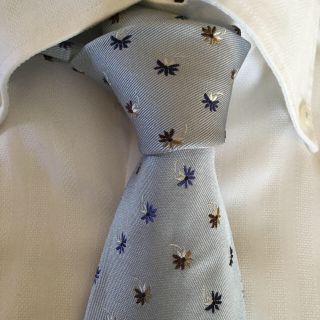 エルメネジルドゼニア(Ermenegildo Zegna)のエルメネジルド ゼニア ネクタイ 水色(ネクタイ)