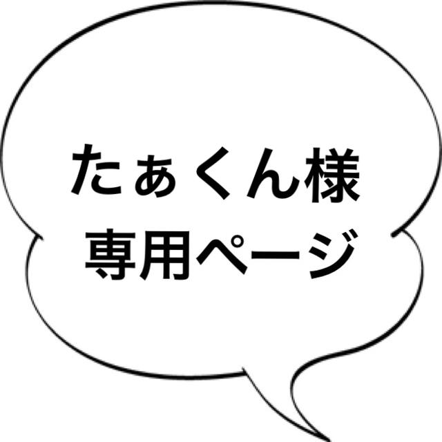 たぁくん様専用 ダークシルバー/925シルバー コスメ/美容のヘアケア/スタイリング(カラーリング剤)の商品写真