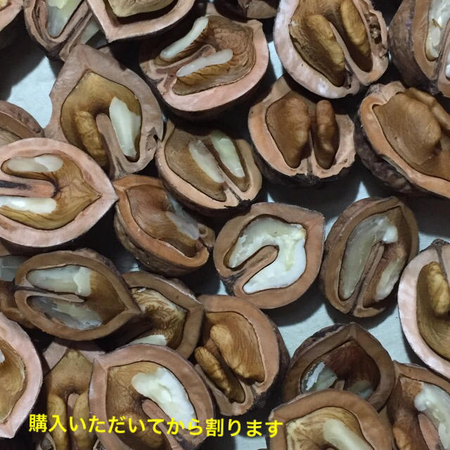 採れたて新潟より★楽チン 半割り鬼クルミ ５００g 購入後半割しまーす！送料無料 食品/飲料/酒の食品(野菜)の商品写真