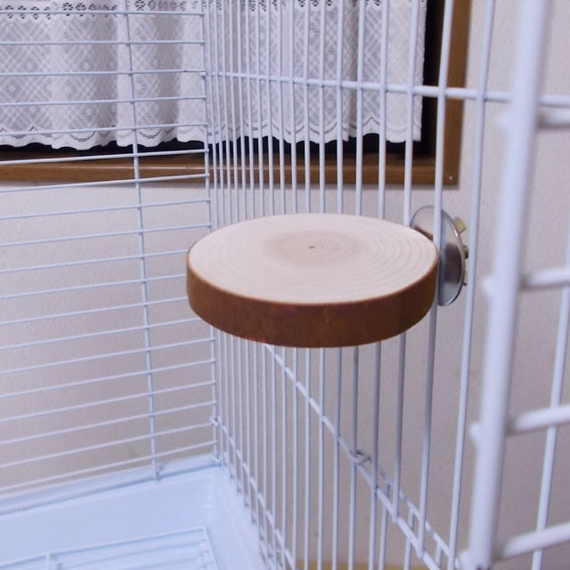 インコさんがまったり  まるい止まり木 直径約7cm その他のペット用品(鳥)の商品写真