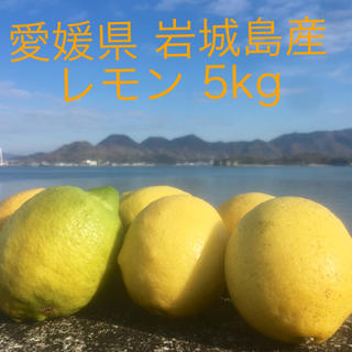愛媛県 岩城島産レモン 5kg(フルーツ)