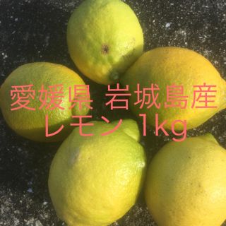 愛媛県 岩城島産レモン 1kg(フルーツ)