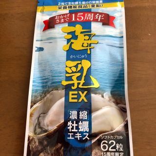 海乳EX62粒(その他)