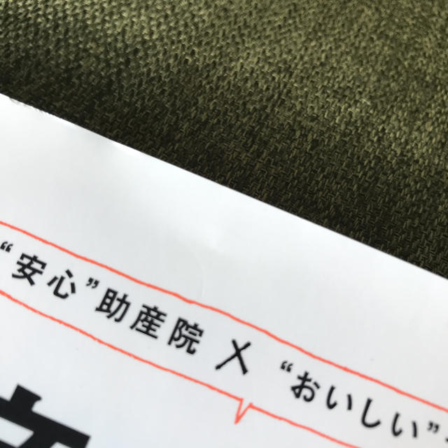 エイ出版社(エイシュッパンシャ)の安産ごはん160  妊娠中、産後のためレシピ本 エンタメ/ホビーの本(住まい/暮らし/子育て)の商品写真