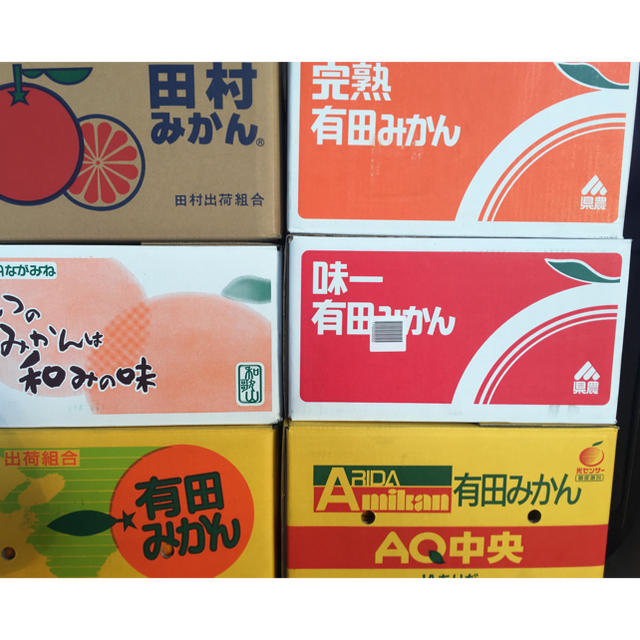 和歌山県 傷あり訳ありみかん約10kg 食品/飲料/酒の食品(フルーツ)の商品写真