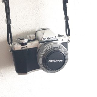 オリンパス(OLYMPUS)のOlympus om-d e-m10 markⅡ(ミラーレス一眼)