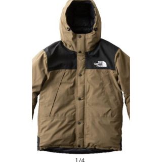 ザノースフェイス(THE NORTH FACE)のマウンテンダウンジャケット ビーチグリーン(ダウンジャケット)