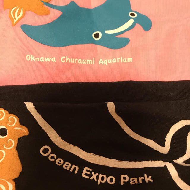 美ら海水族館 兄妹お揃いTシャツ キッズ/ベビー/マタニティのキッズ服男の子用(90cm~)(Tシャツ/カットソー)の商品写真