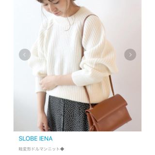 新品タグ付き❣️ SLOBE IENA 畦ヘンケイドルマンニット グレーA