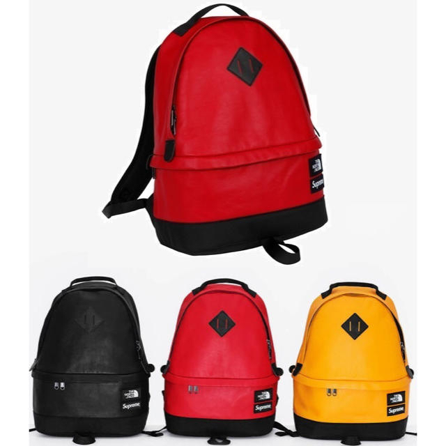supreme ×THE NORTH FACE LEATHERDAYPACK