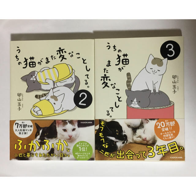 角川書店(カドカワショテン)のうちの猫がまた変なことしてる。2〜3巻 エンタメ/ホビーの漫画(4コマ漫画)の商品写真