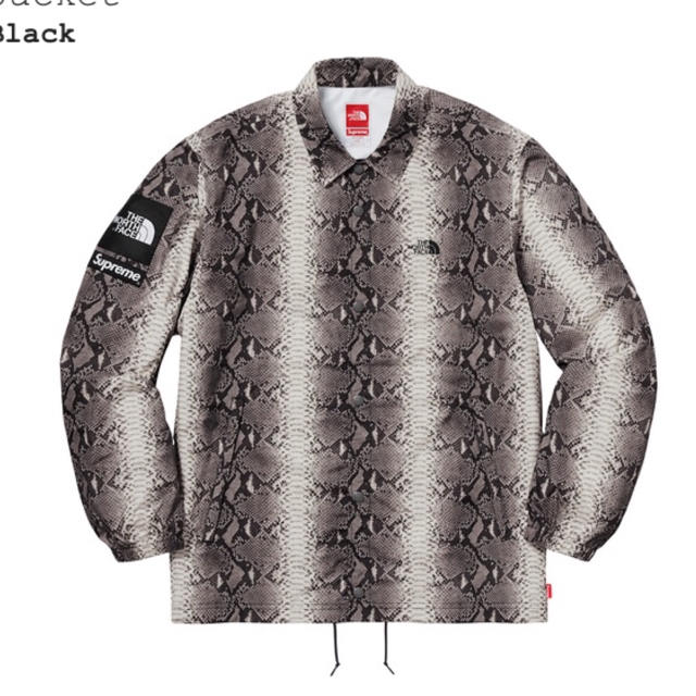 ジャケット/アウターLサイズ Supreme TNF Snakeskin Taped Seam