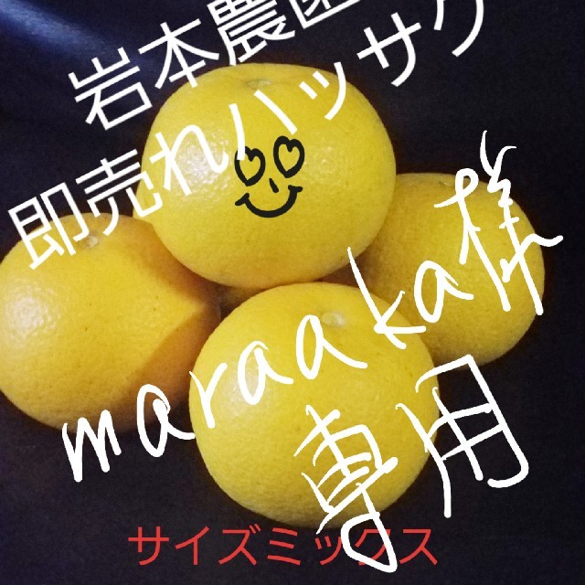 maraaka様専用 食品/飲料/酒の食品(フルーツ)の商品写真